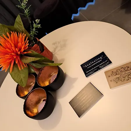 Seafeeling Middelkerke